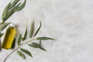 Avec quelle crème masser ses muscles après le sport ?