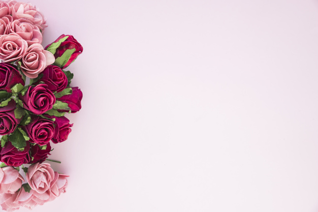 Quelle est la signification des roses quand on peut les offrir ?